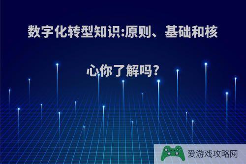 数字化转型知识:原则、基础和核心你了解吗?