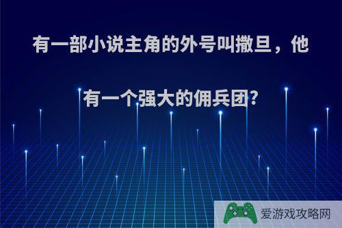 有一部小说主角的外号叫撒旦，他有一个强大的佣兵团?