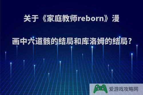 关于《家庭教师reborn》漫画中六道骸的结局和库洛姆的结局?