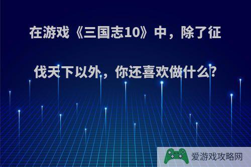 在游戏《三国志10》中，除了征伐天下以外，你还喜欢做什么?