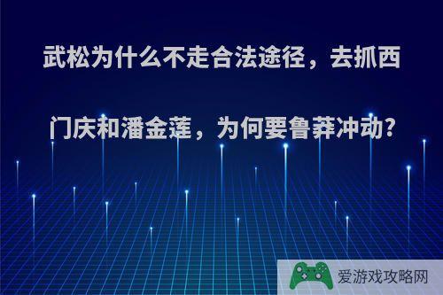 武松为什么不走合法途径，去抓西门庆和潘金莲，为何要鲁莽冲动?