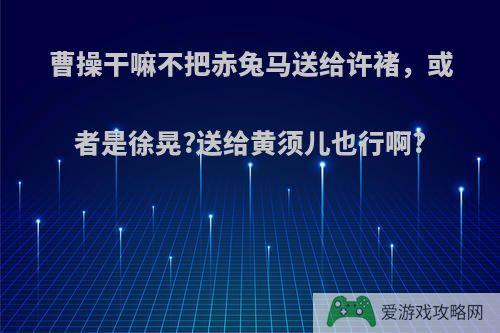 曹操干嘛不把赤兔马送给许褚，或者是徐晃?送给黄须儿也行啊?