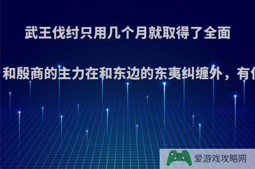 武王伐纣只用几个月就取得了全面胜利.除奴隶倒戈，和殷商的主力在和东边的东夷纠缠外，有什么更深层的原因?