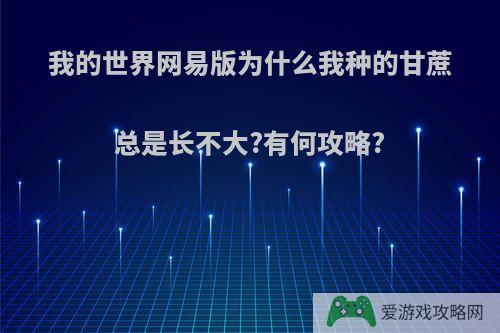 我的世界网易版为什么我种的甘蔗总是长不大?有何攻略?