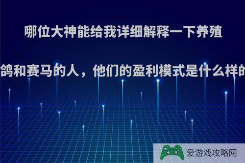 哪位大神能给我详细解释一下养殖信鸽和赛马的人，他们的盈利模式是什么样的?