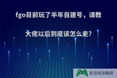 fgo目前玩了半年自建号，请教大佬以后到底该怎么走?