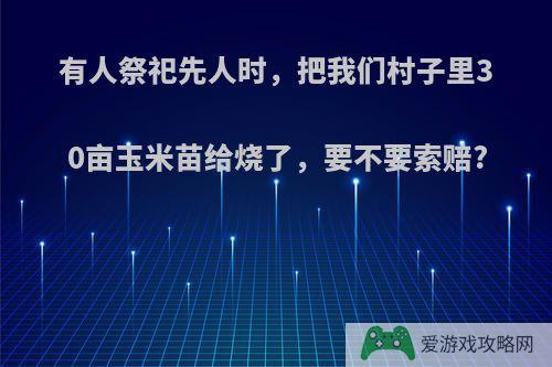 有人祭祀先人时，把我们村子里30亩玉米苗给烧了，要不要索赔?