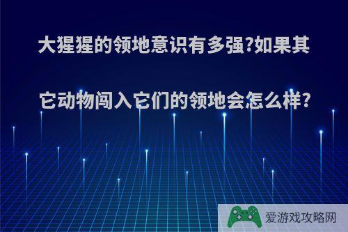 大猩猩的领地意识有多强?如果其它动物闯入它们的领地会怎么样?