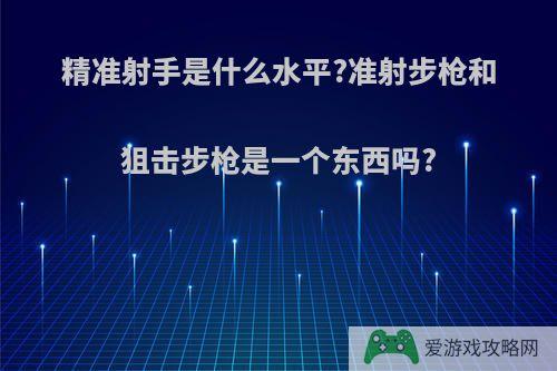 精准射手是什么水平?准射步枪和狙击步枪是一个东西吗?