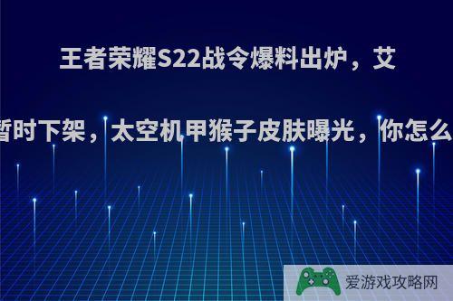 王者荣耀S22战令爆料出炉，艾琳暂时下架，太空机甲猴子皮肤曝光，你怎么看?