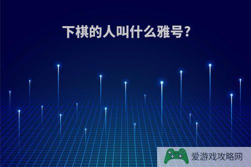 下棋的人叫什么雅号?