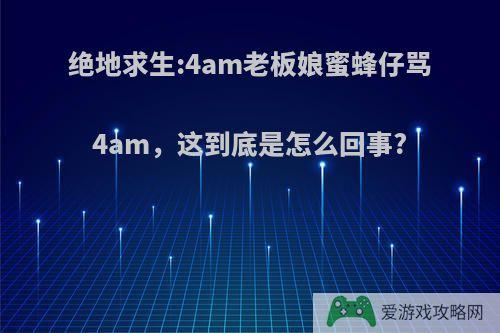 绝地求生:4am老板娘蜜蜂仔骂4am，这到底是怎么回事?