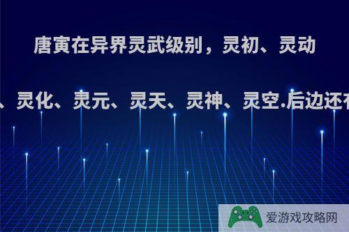 唐寅在异界灵武级别，灵初、灵动、灵真、灵破、灵化、灵元、灵天、灵神、灵空.后边还有九成是什么?