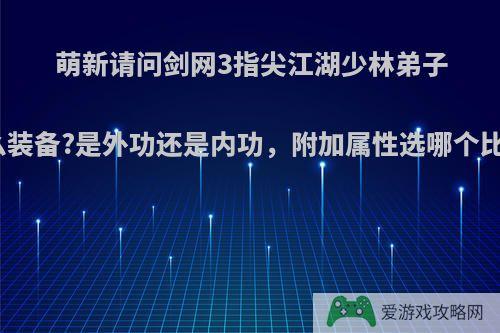 萌新请问剑网3指尖江湖少林弟子穿什么装备?是外功还是内功，附加属性选哪个比较好?