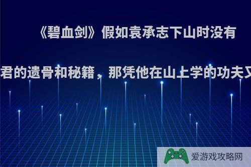 《碧血剑》假如袁承志下山时没有找到金蛇郎君的遗骨和秘籍，那凭他在山上学的功夫又能怎么样?