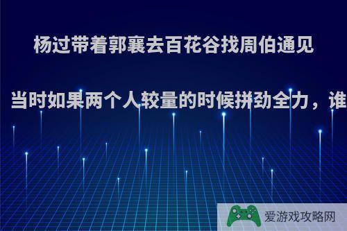 杨过带着郭襄去百花谷找周伯通见瑛姑，当时如果两个人较量的时候拼劲全力，谁能胜?