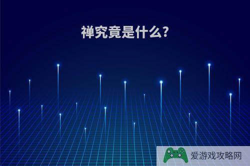 禅究竟是什么?