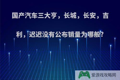 国产汽车三大亨，长城，长安，吉利，迟迟没有公布销量为哪般?