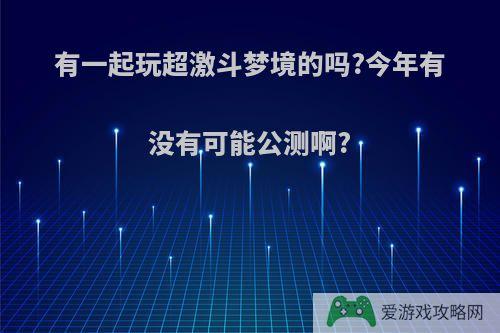 有一起玩超激斗梦境的吗?今年有没有可能公测啊?