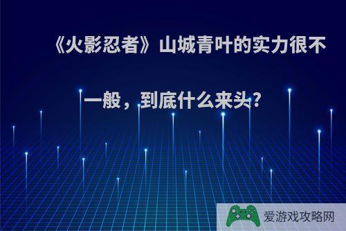 《火影忍者》山城青叶的实力很不一般，到底什么来头?