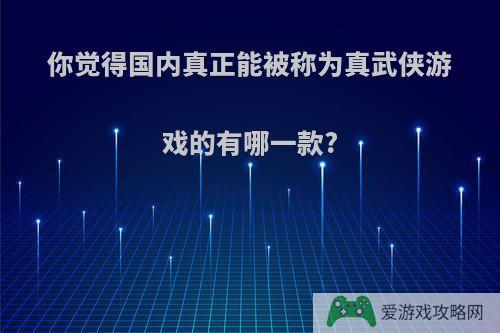 你觉得国内真正能被称为真武侠游戏的有哪一款?