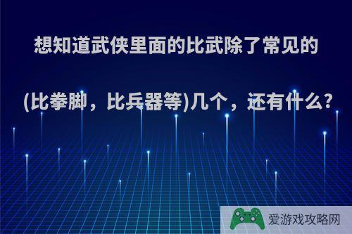 想知道武侠里面的比武除了常见的(比拳脚，比兵器等)几个，还有什么?