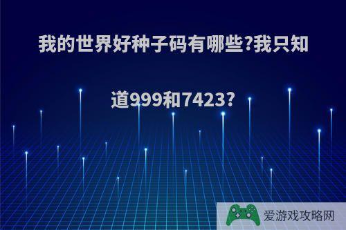 我的世界好种子码有哪些?我只知道999和7423?