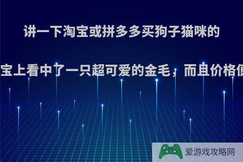 讲一下淘宝或拼多多买狗子猫咪的经历呗，我在淘宝上看中了一只超可爱的金毛，而且价格便宜，可以买吗?