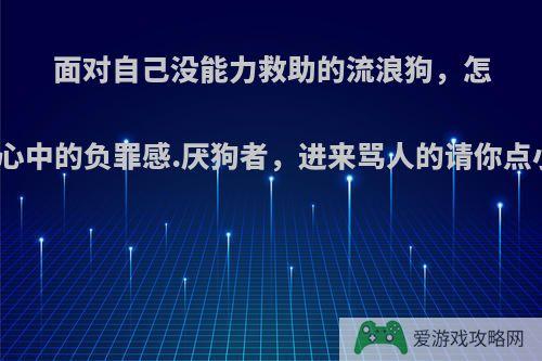 面对自己没能力救助的流浪狗，怎么平复心中的负罪感.厌狗者，进来骂人的请你点小叉叉?