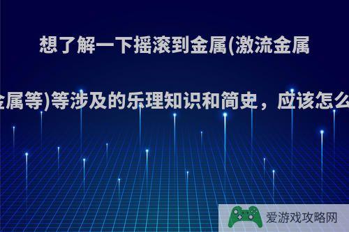 想了解一下摇滚到金属(激流金属、死亡金属等)等涉及的乐理知识和简史，应该怎么去了解?