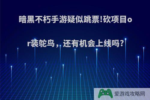 暗黑不朽手游疑似跳票!砍项目or装鸵鸟，还有机会上线吗?