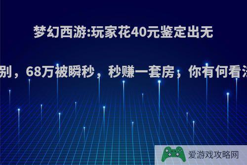 梦幻西游:玩家花40元鉴定出无级别，68万被瞬秒，秒赚一套房，你有何看法?