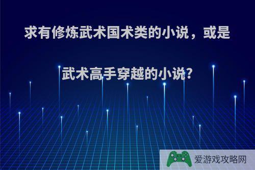 求有修炼武术国术类的小说，或是武术高手穿越的小说?