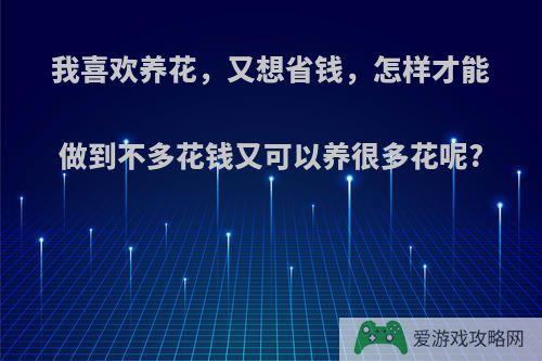 我喜欢养花，又想省钱，怎样才能做到不多花钱又可以养很多花呢?