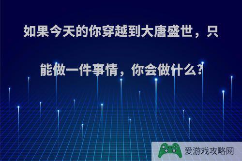 如果今天的你穿越到大唐盛世，只能做一件事情，你会做什么?