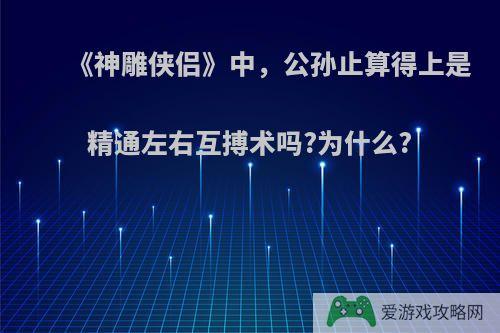 《神雕侠侣》中，公孙止算得上是精通左右互搏术吗?为什么?