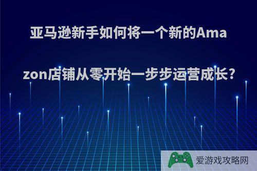 亚马逊新手如何将一个新的Amazon店铺从零开始一步步运营成长?