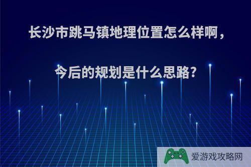 长沙市跳马镇地理位置怎么样啊，今后的规划是什么思路?