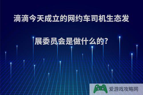 滴滴今天成立的网约车司机生态发展委员会是做什么的?