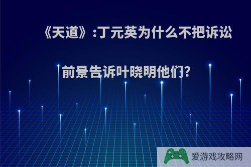 《天道》:丁元英为什么不把诉讼前景告诉叶晓明他们?