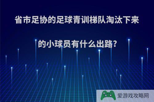 省市足协的足球青训梯队淘汰下来的小球员有什么出路?