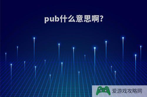 pub什么意思啊?