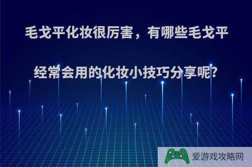 毛戈平化妆很厉害，有哪些毛戈平经常会用的化妆小技巧分享呢?