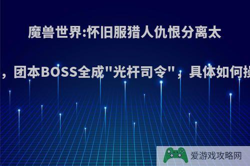 魔兽世界:怀旧服猎人仇恨分离太强大，团本BOSS全成