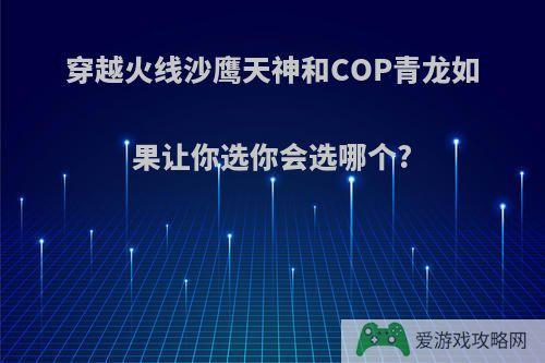 穿越火线沙鹰天神和COP青龙如果让你选你会选哪个?