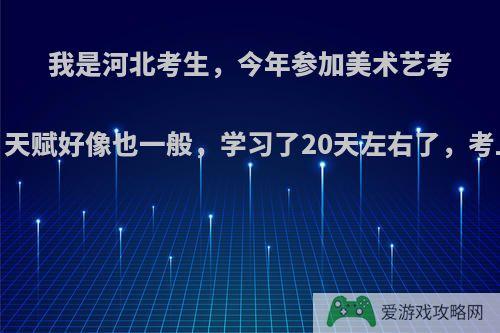 我是河北考生，今年参加美术艺考，没有任何基础，天赋好像也一般，学习了20天左右了，考上河北师有希望吗?