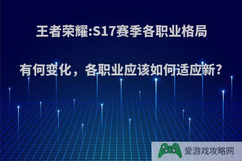 王者荣耀:S17赛季各职业格局有何变化，各职业应该如何适应新?