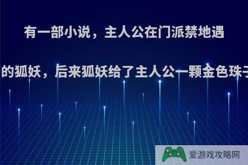 有一部小说，主人公在门派禁地遇到一个渡劫期的狐妖，后来狐妖给了主人公一颗金色珠子，求小说名?