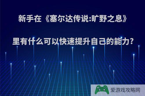 新手在《塞尔达传说:旷野之息》里有什么可以快速提升自己的能力?