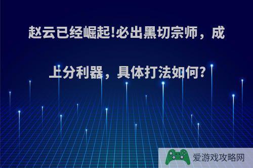 赵云已经崛起!必出黑切宗师，成上分利器，具体打法如何?